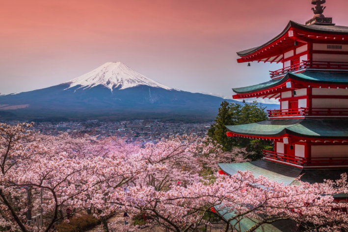 Tokyo tour
